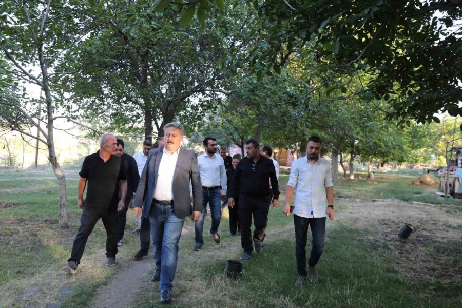 Melikgazi’den Sokak Hayvanlarına Destek