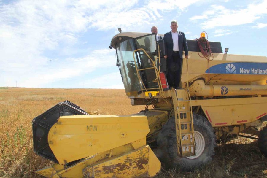 Başkan Altun Ve Kaymakam Gülen’den İhtiyaç Sahipleri İçin Aspir Hasadı