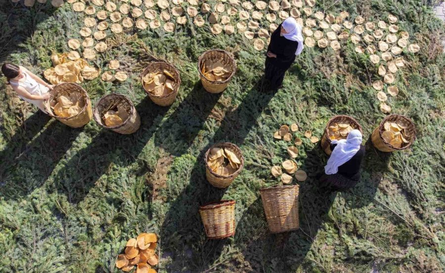 Bu Tarhana Başka Tarhana