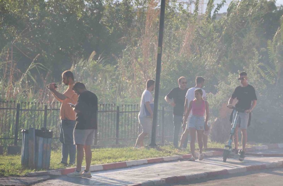 Antalya’da Falezlerde Yangın Paniği