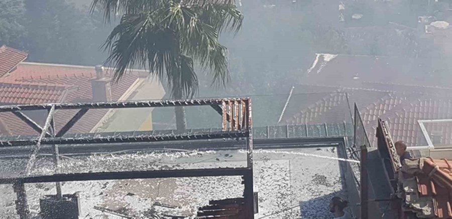 Otluk Alanda Çıkan Yangın, Çam Ağacının Kozalağından Lüks Villalara Sıçradı