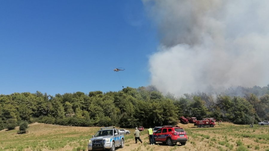 Manavgat’ta Orman Yangını Kontrol Altına Alındı
