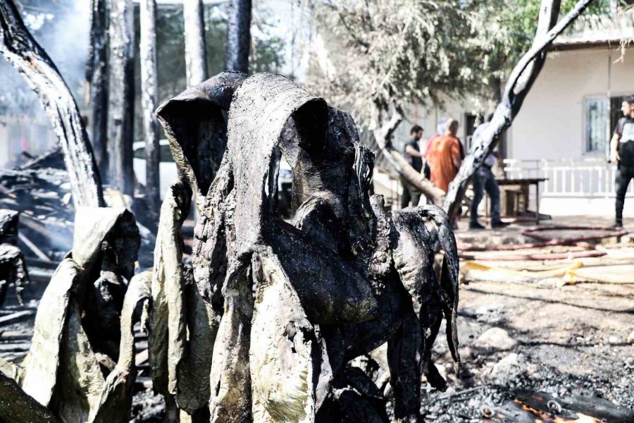 Otların Tutuşmasıyla Başlayan Yangın, Evlere Yönelince Büyük Korku Yaşandı