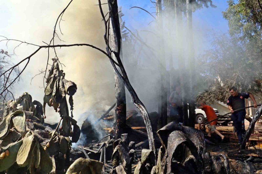 Otların Tutuşmasıyla Başlayan Yangın, Evlere Yönelince Büyük Korku Yaşandı