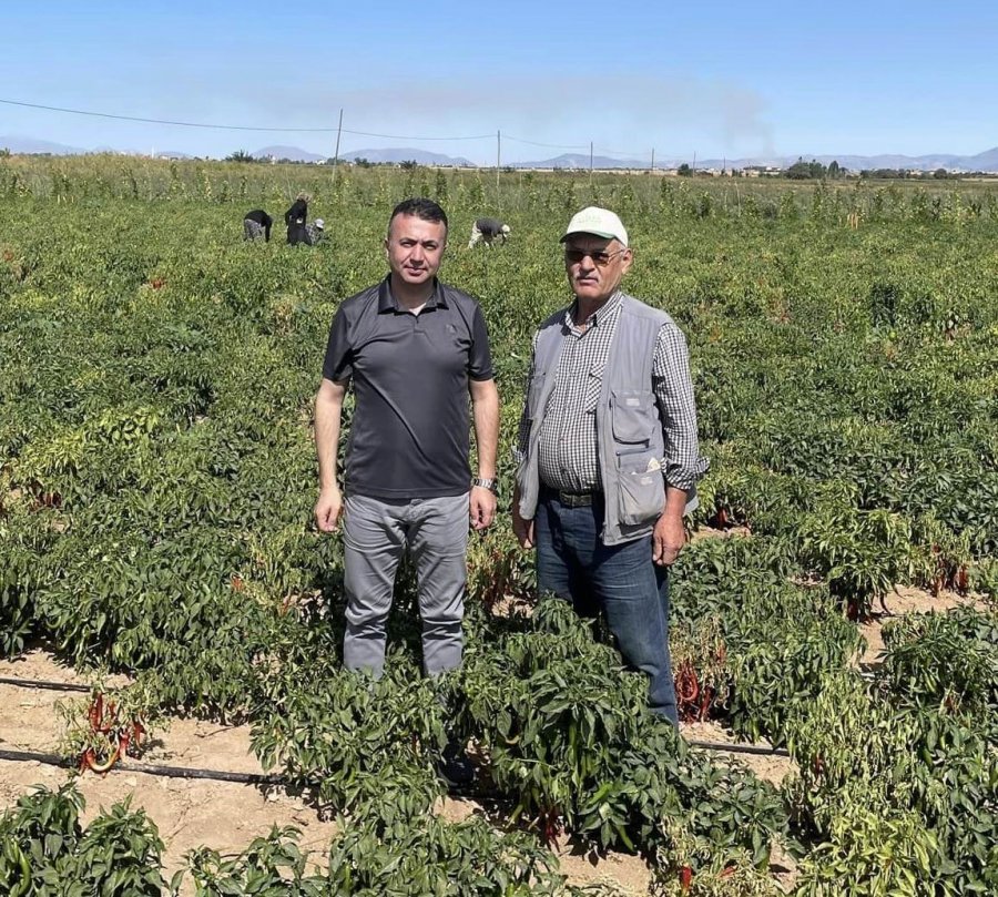 Beyşehir’de Çiftçiler Ürün Zararlılarına Karşı Bilgilendiriliyor