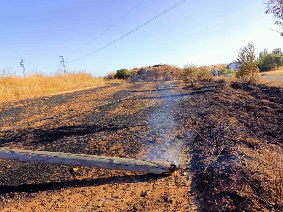 Beyşehir Ve Hüyük’te Çıkan Anız Yangınları Tedirgin Ediyor
