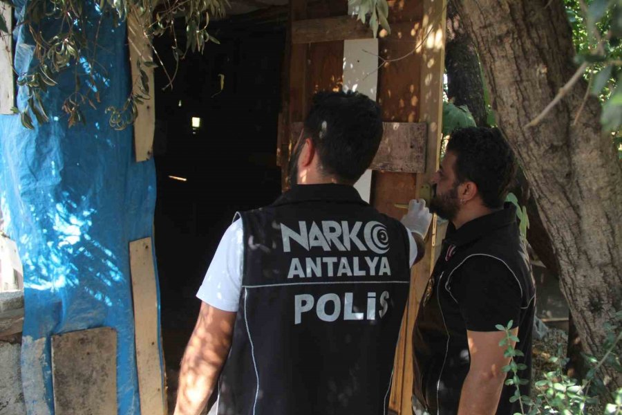 Antalya’da 300 Polisle 15 Adrese Helikopter Destekli Eş Zamanlı Uyuşturu Operasyonu