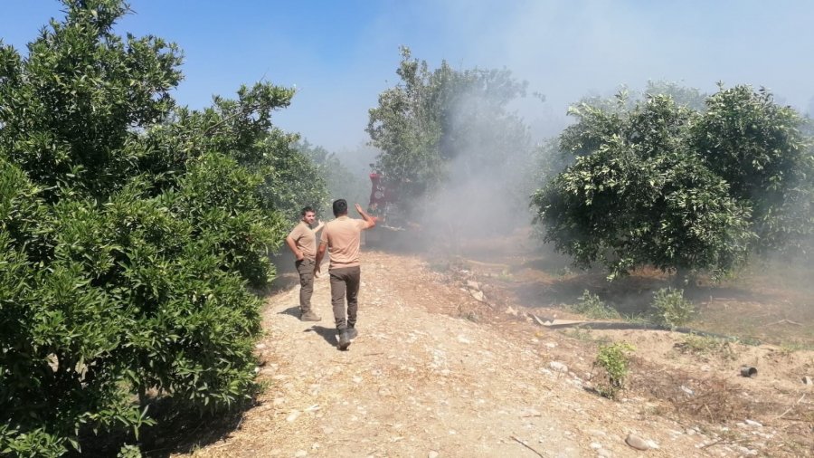 Antalya’da Sazlık Yangınına Havadan Ve Karadan Hızlı Müdahale