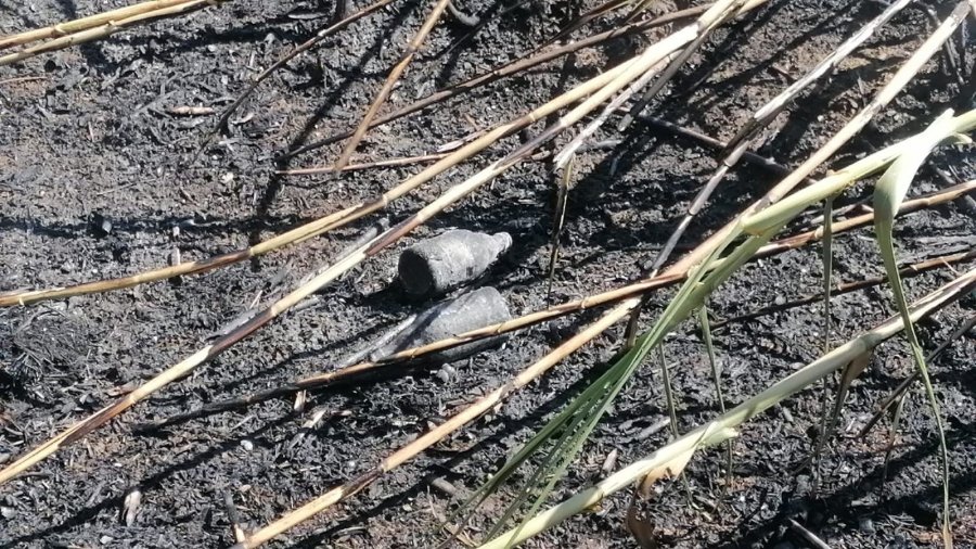 Antalya’da Sazlık Yangınına Havadan Ve Karadan Hızlı Müdahale