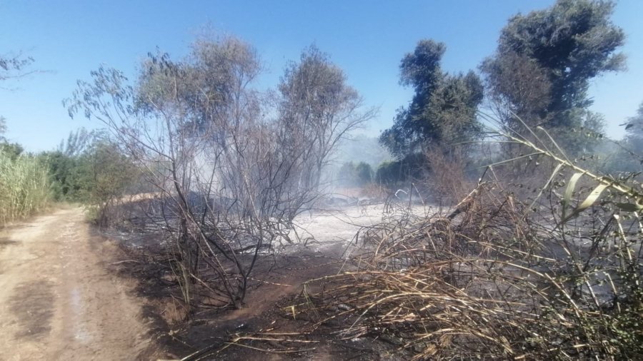 Antalya’da Sazlık Yangınına Havadan Ve Karadan Hızlı Müdahale