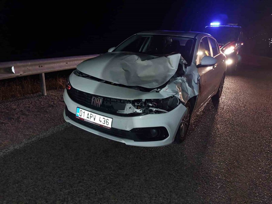 Yola Çıkan Eşek Kazaya Yol Açtı