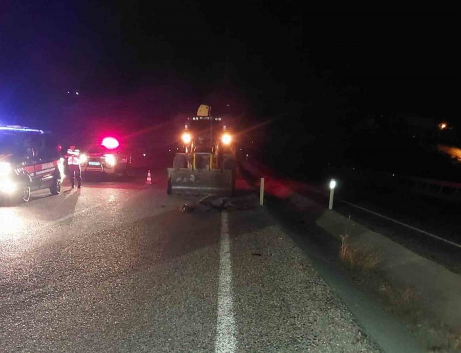 Yola Çıkan Eşek Kazaya Yol Açtı