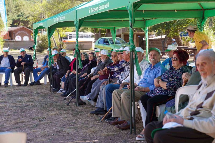 Deneyimli Vatandaşlar İçin Piknik Etkinliği