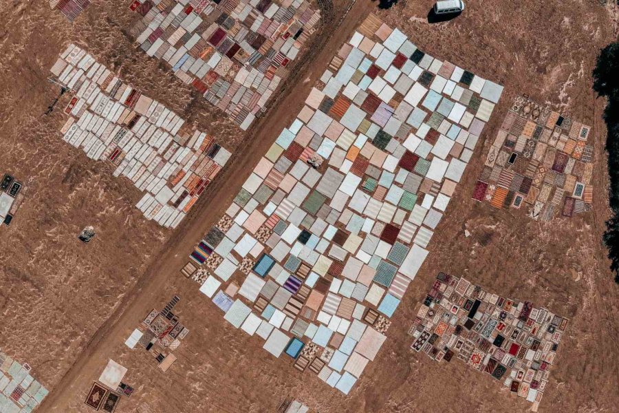 Halı Tarlalarında Güneşin Soldurduğu Milyonluk Halıların Hasatı Başladı