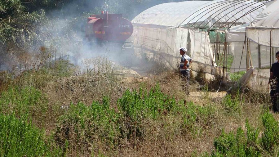 Antalya’da Seralara Yakın Alandaki Yangın Korkuttu