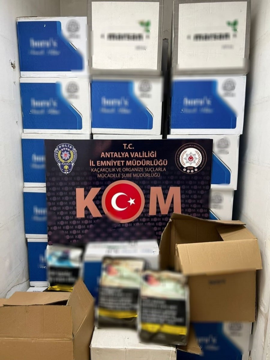 Antalya’da 725 Bin Adet Kaçak Makaron Ele Geçirildi: 5 Gözaltı