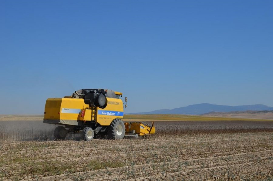 Fatih Dönmez Pancar Hasadına Katıldı