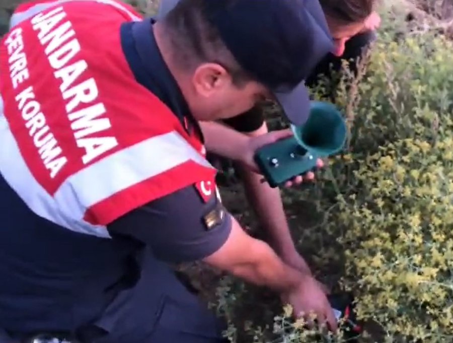 Kaçak Avcıların Ses Oyununu Jandarma Bozdu