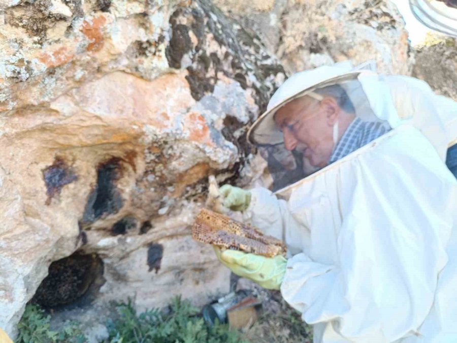 Dedesinden Öğrendiği Yöntemle Balı ’taş’tan Çıkarıyor