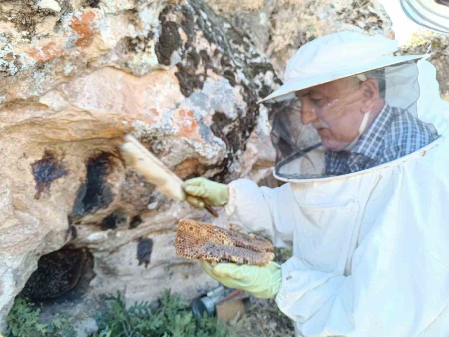 Dedesinden Öğrendiği Yöntemle Balı ’taş’tan Çıkarıyor