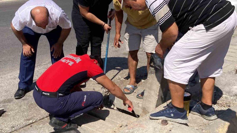 Bu Da Telefon Kurtarma Operasyonu