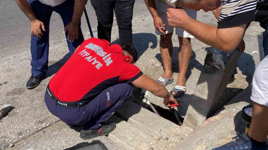 Bu Da Telefon Kurtarma Operasyonu