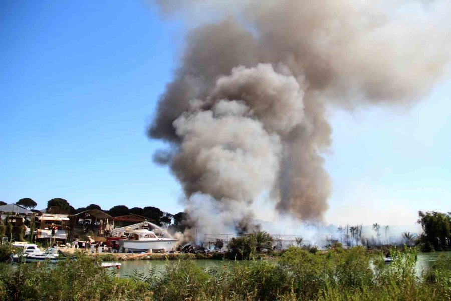 Tersanedeki Tekneler Alev Alev Yandı, Ormana Sıçrayan Yangın Söndürüldü