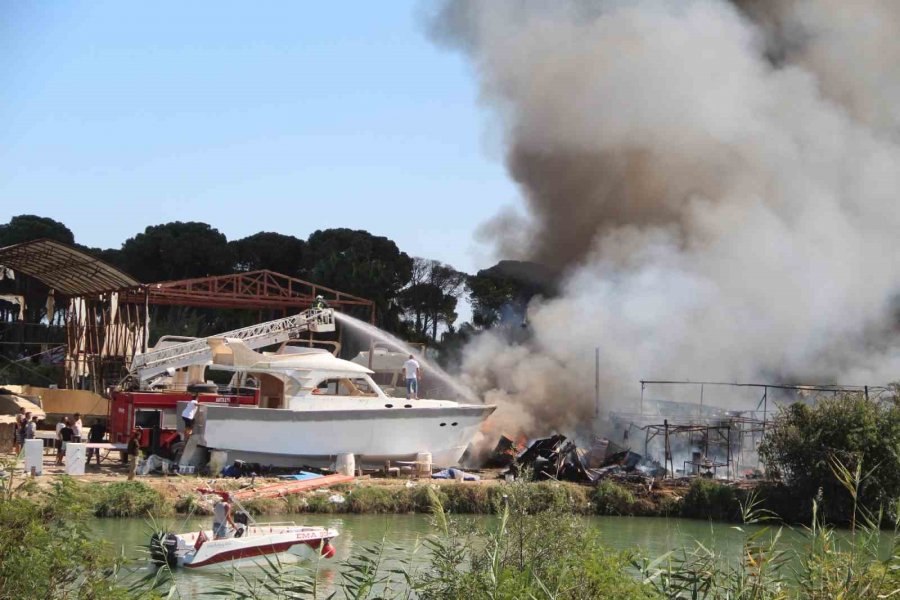 Tersanedeki Tekneler Alev Alev Yandı, Ormana Sıçrayan Yangın Söndürüldü