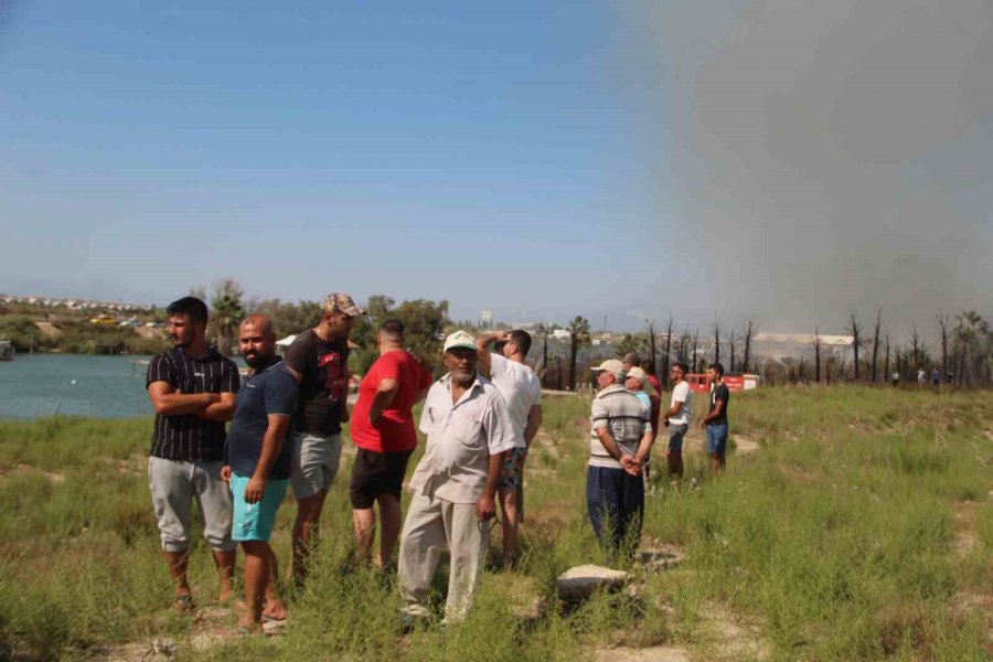 Tersanedeki Tekneler Alev Alev Yandı, Ormana Sıçrayan Yangın Söndürüldü