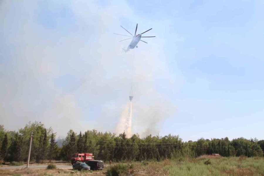 Tersanedeki Tekneler Alev Alev Yandı, Ormana Sıçrayan Yangın Söndürüldü