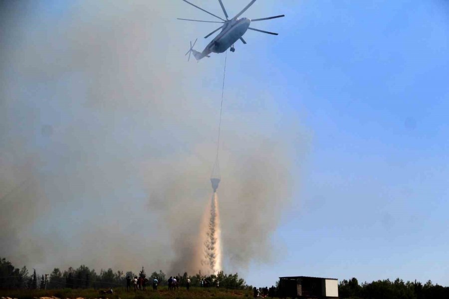 Tersanedeki Tekneler Alev Alev Yandı, Ormana Sıçrayan Yangın Söndürüldü