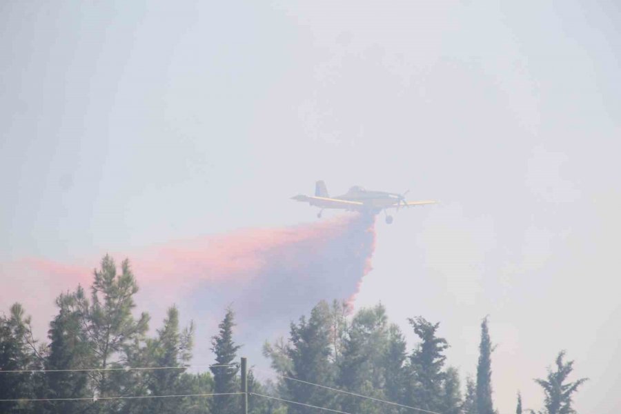 Tersanedeki Tekneler Alev Alev Yandı, Ormana Sıçrayan Yangın Söndürüldü