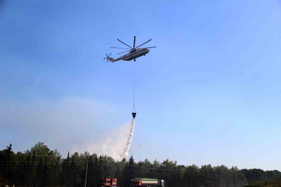 Tersanedeki Tekneler Alev Alev Yandı, Ormana Sıçrayan Yangın Söndürüldü