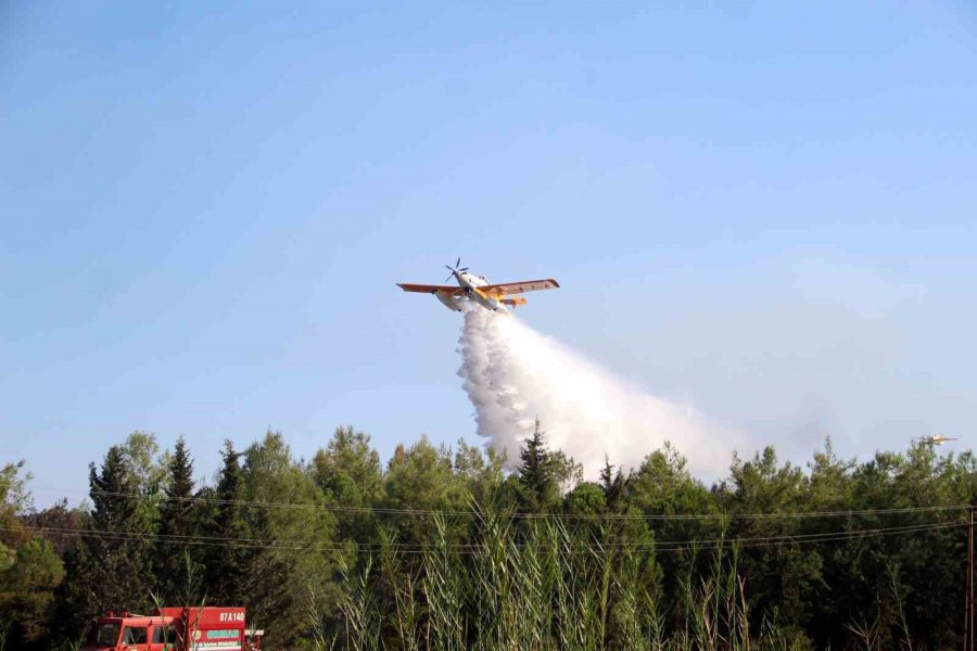 Tersanedeki Tekneler Alev Alev Yandı, Ormana Sıçrayan Yangın Söndürüldü