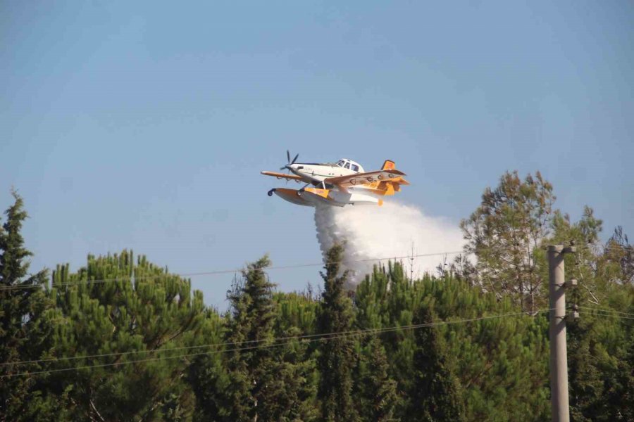Tersanedeki Tekneler Alev Alev Yandı, Ormana Sıçrayan Yangın Söndürüldü