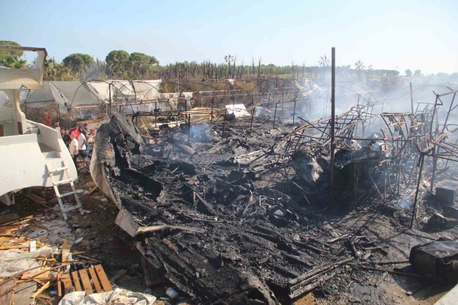 Tersanedeki Tekneler Alev Alev Yandı, Ormana Sıçrayan Yangın Söndürüldü