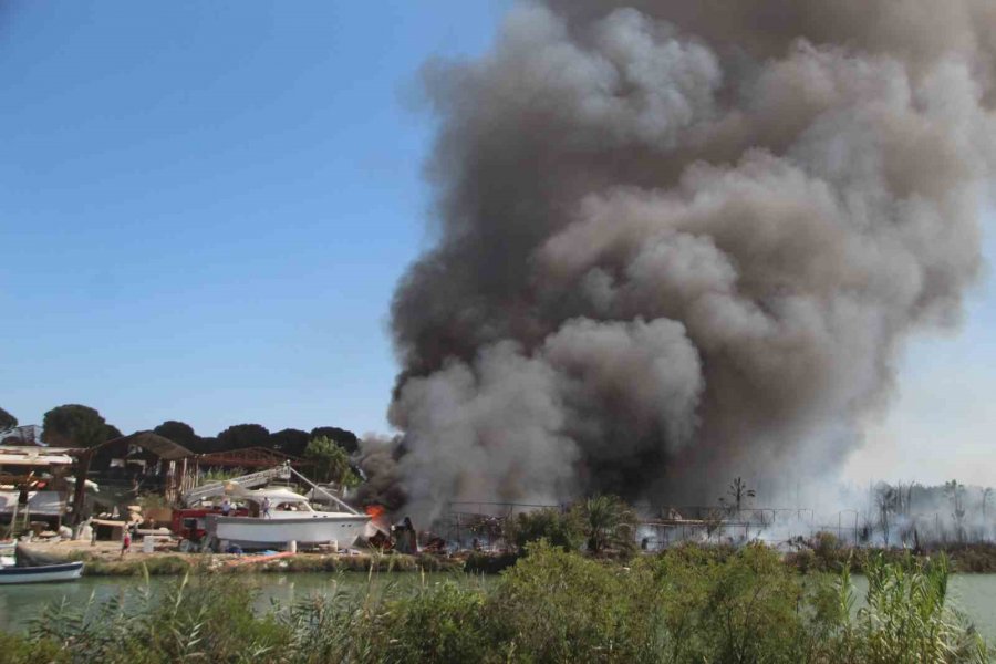 Tersanedeki Tekneler Alev Alev Yandı, Ormana Sıçrayan Yangın Söndürüldü