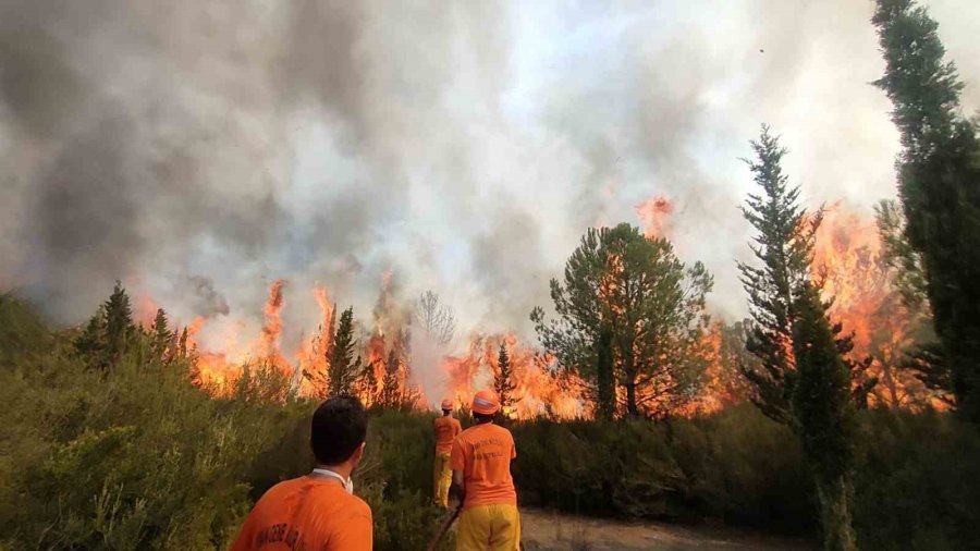 Tersanedeki Tekneler Alev Alev Yandı, Ormana Sıçrayan Yangın Söndürüldü