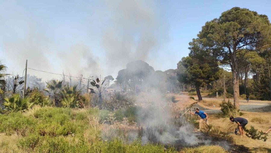 Tersanedeki Tekneler Alev Alev Yandı, Ormana Sıçrayan Yangın Söndürüldü