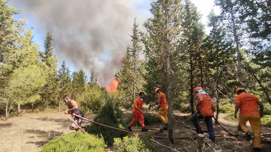 Tersanedeki Tekneler Alev Alev Yandı, Ormana Sıçrayan Yangın Söndürüldü