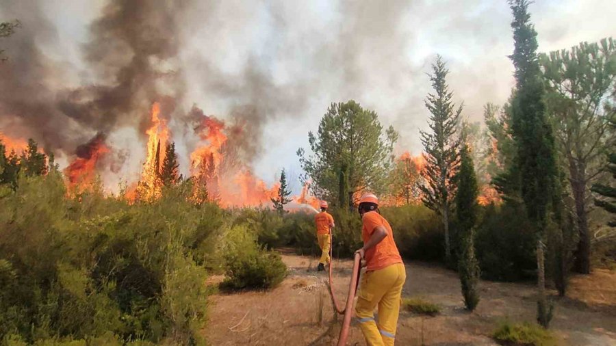Tersanedeki Tekneler Alev Alev Yandı, Ormana Sıçrayan Yangın Söndürüldü