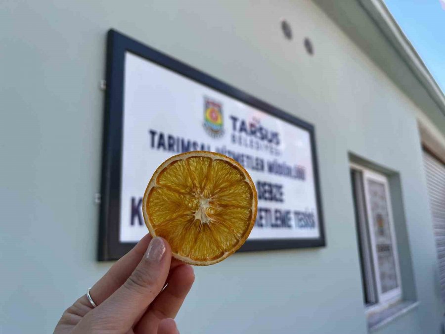 Tarsus’ta Mantar Üretim İle Sebze Ve Meyve Kurutma-paketleme Tesisleri Açıldı