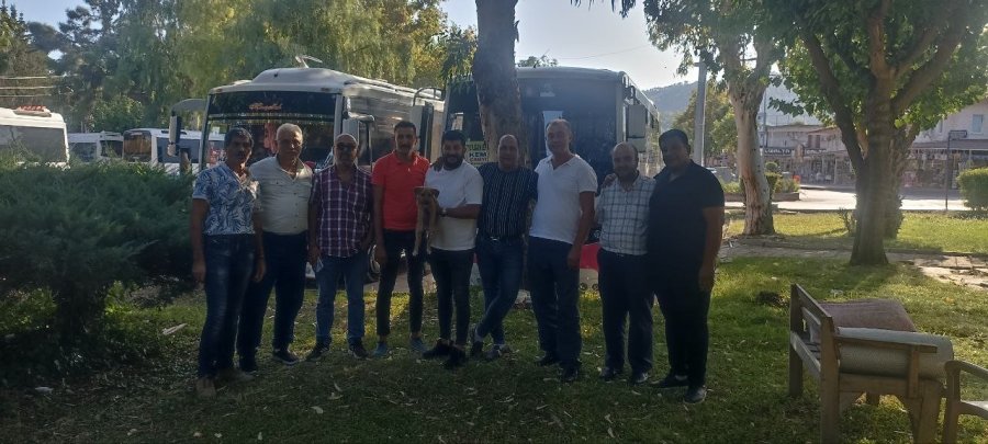 Midibüs Şoförü İle Yavru Köpeğin İnatlaşması Mutlu Sonla Bitti