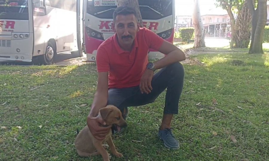 Midibüs Şoförü İle Yavru Köpeğin İnatlaşması Mutlu Sonla Bitti