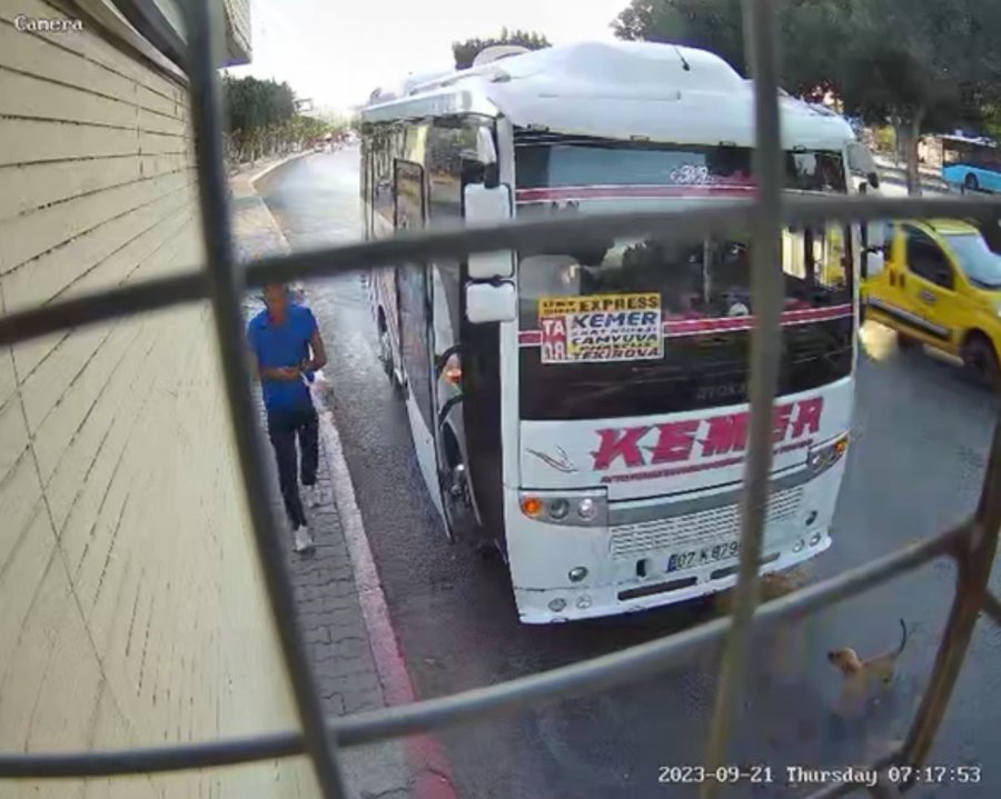 Midibüs Şoförü İle Yavru Köpeğin İnatlaşması Mutlu Sonla Bitti