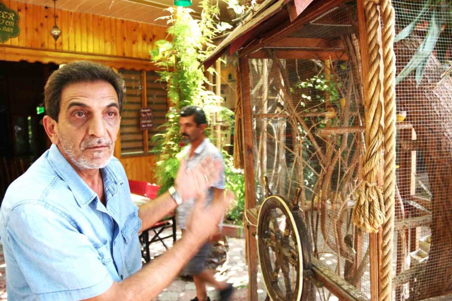 Antalya’da Turistik İşletmede ‘papağan’ Gerginliği