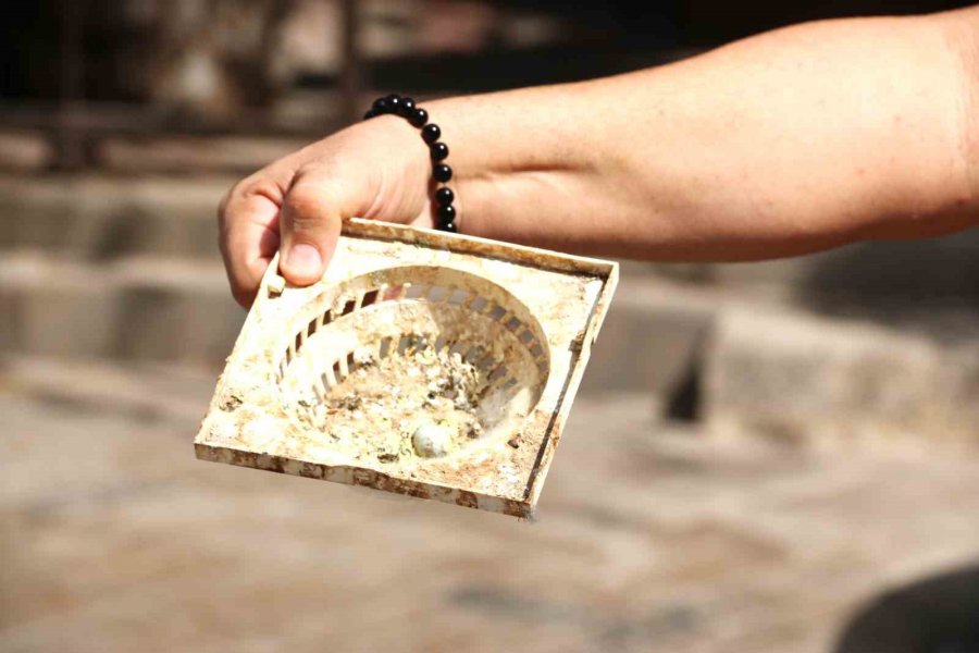 Antalya’da Turistik İşletmede ‘papağan’ Gerginliği