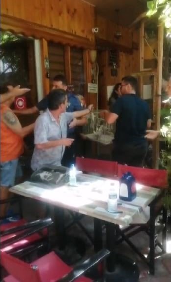 Antalya’da Turistik İşletmede ‘papağan’ Gerginliği