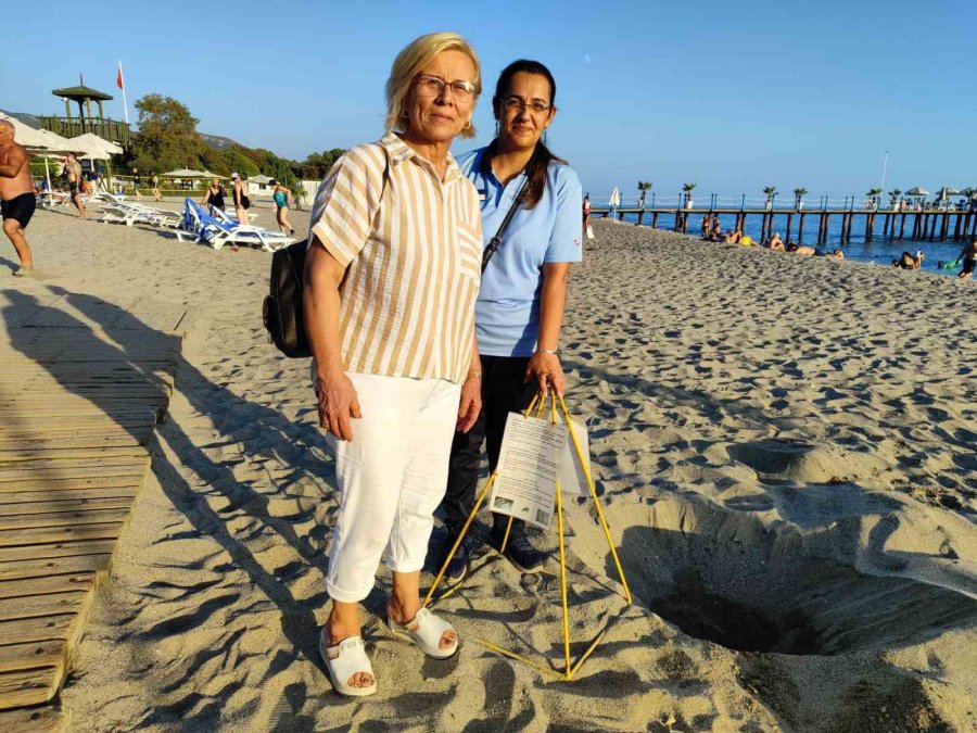 Alanya’da Caretta Caretta Yuvalarındaki Yumurtalar Tek Tek Kontrol Edildi