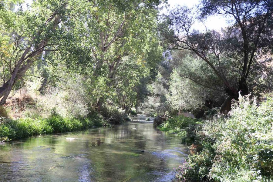 Ihlara Vadisi Yüzlerce Bitki Ve Canlıya Ev Sahipliği Yapıyor